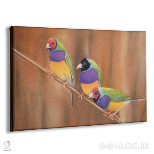 تابلو فنچ گولدیان (نوعی پرنده رنگی) اثر آن هاچینسون - نمای پرسپکتیو محصول