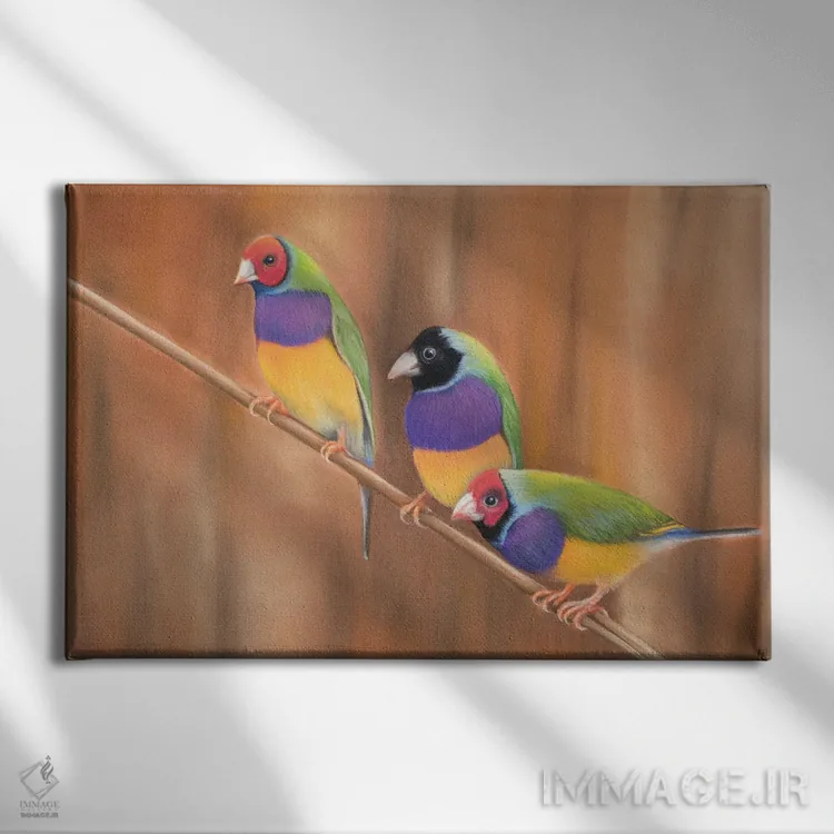تابلو فنچ گولدیان (نوعی پرنده رنگی) اثر آن هاچینسون - نمای روبهرو روی دیوار