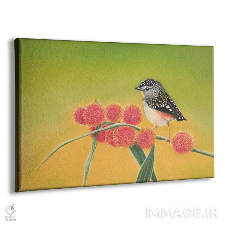 تابلو پاردالوت خالدار کوچک (نوع پرنده) اثر آن هاچینسون - نمای پرسپکتیو محصول