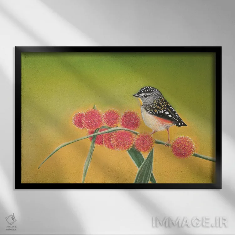 تابلو پاردالوت خالدار کوچک (نوع پرنده) اثر آن هاچینسون - نمای قابدار مشکی