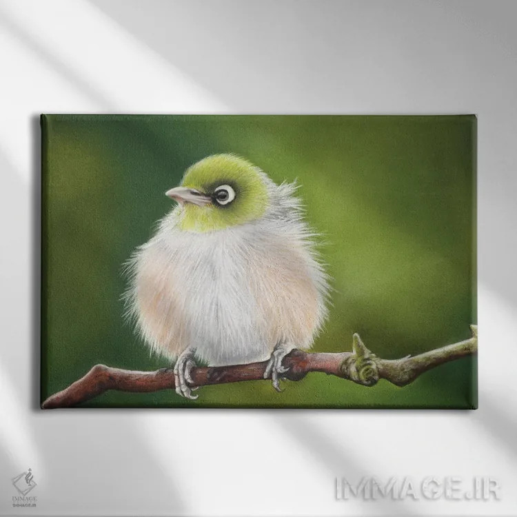 تابلو چشم نقرهای کوچک اثر آن هاچینسون - نمای روبهرو روی دیوار