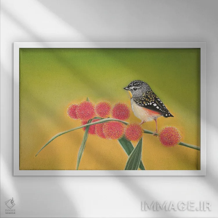 تابلو پاردالوت خالدار کوچک (نوع پرنده) اثر آن هاچینسون - نمای قابدار سفید