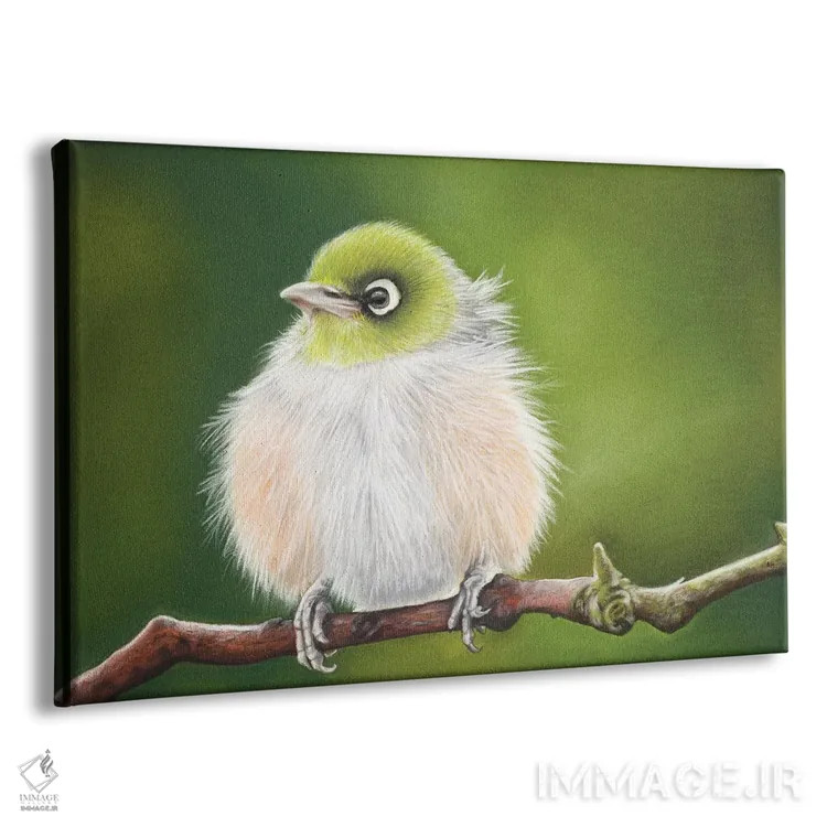 تابلو چشم نقرهای کوچک اثر آن هاچینسون - نمای پرسپکتیو محصول