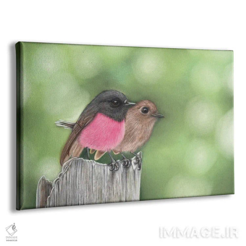 تابلو آقا و خانم رابین صورتی اثر آن هاچینسون - نمای پرسپکتیو محصول