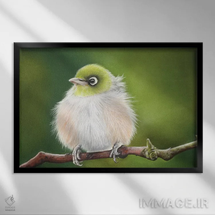 تابلو چشم نقرهای کوچک اثر آن هاچینسون - نمای قابدار مشکی