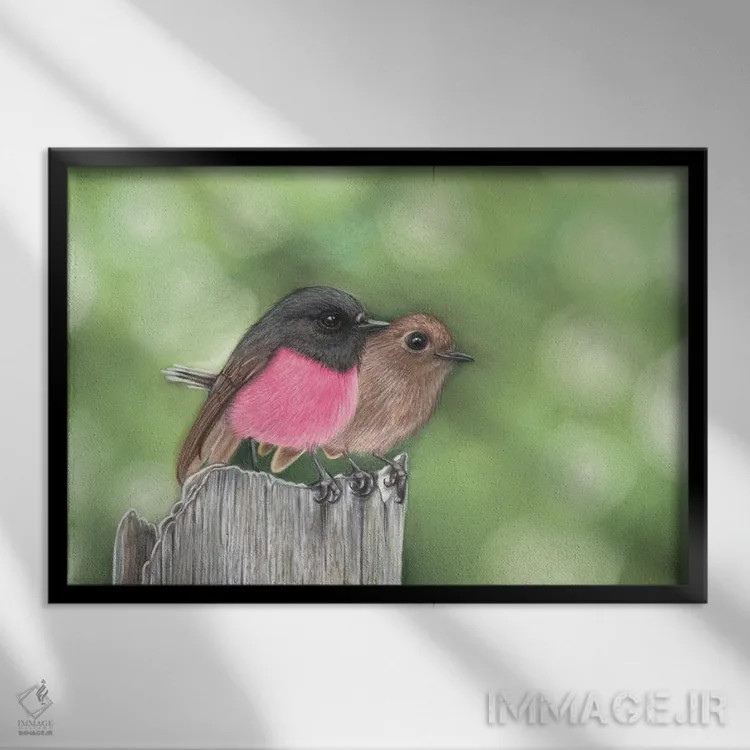 تابلو آقا و خانم رابین صورتی اثر آن هاچینسون - نمای قابدار مشکی