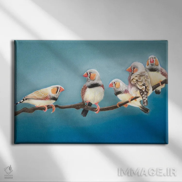 تابلو دیدار فنچهای گورخری (نوعی پرنده) اثر آن هاچینسون - نمای روبهرو روی دیوار