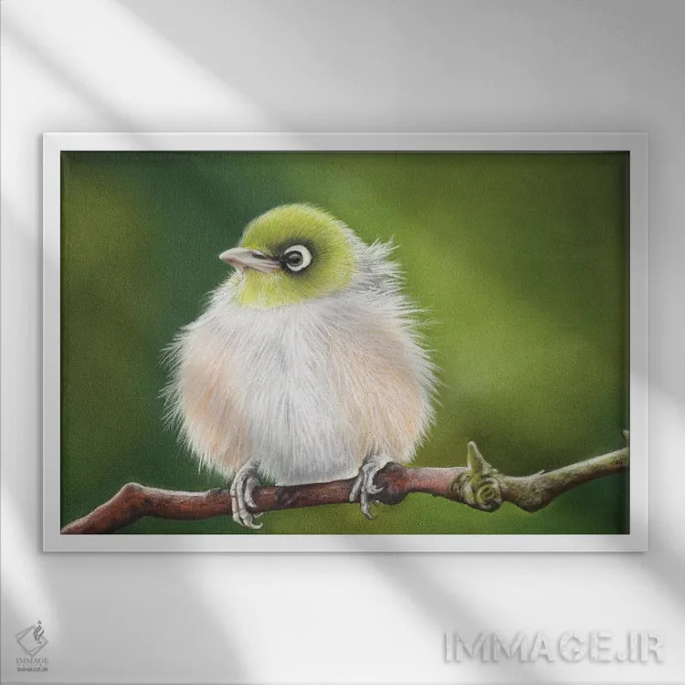 تابلو چشم نقرهای کوچک اثر آن هاچینسون - نمای قابدار سفید