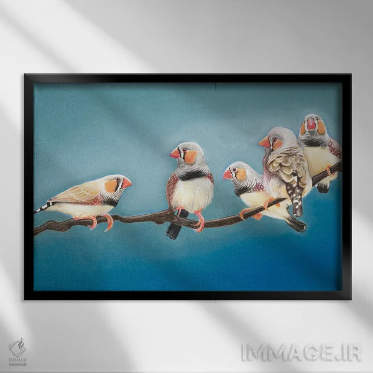 تابلو دیدار فنچهای گورخری (نوعی پرنده) اثر آن هاچینسون - نمای قابدار مشکی