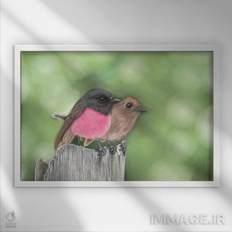 تابلو آقا و خانم رابین صورتی اثر آن هاچینسون - نمای قابدار سفید