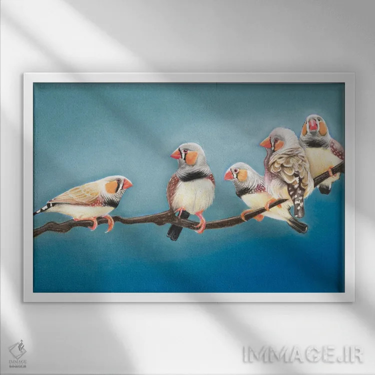 تابلو دیدار فنچهای گورخری (نوعی پرنده) اثر آن هاچینسون - نمای قابدار سفید