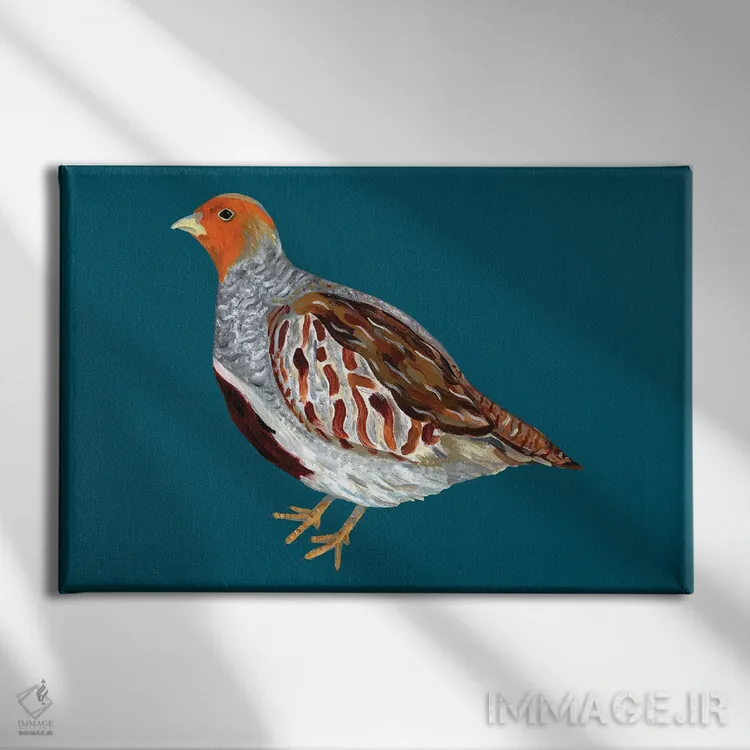 تابلو پردهٔ خاکستری انگلیسی اثر آلیس استراکر - نمای روبهرو روی دیوار