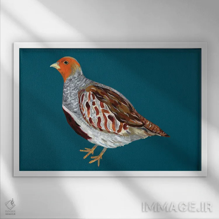 تابلو پردهٔ خاکستری انگلیسی اثر آلیس استراکر - نمای قابدار سفید