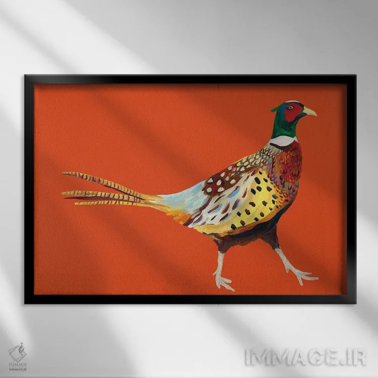 تابلو قرقاول روی نارنجی اثر آلیس استراکر - نمای قابدار مشکی