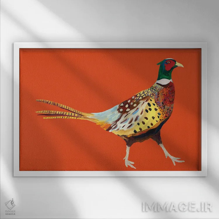 تابلو قرقاول روی نارنجی اثر آلیس استراکر - نمای قابدار سفید