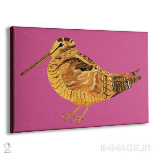 تابلو چکاوک صورتی شگفتانگیز اثر آلیس استراکر - نمای پرسپکتیو محصول