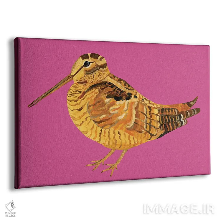 تابلو چکاوک صورتی شگفتانگیز اثر آلیس استراکر - نمای پرسپکتیو محصول