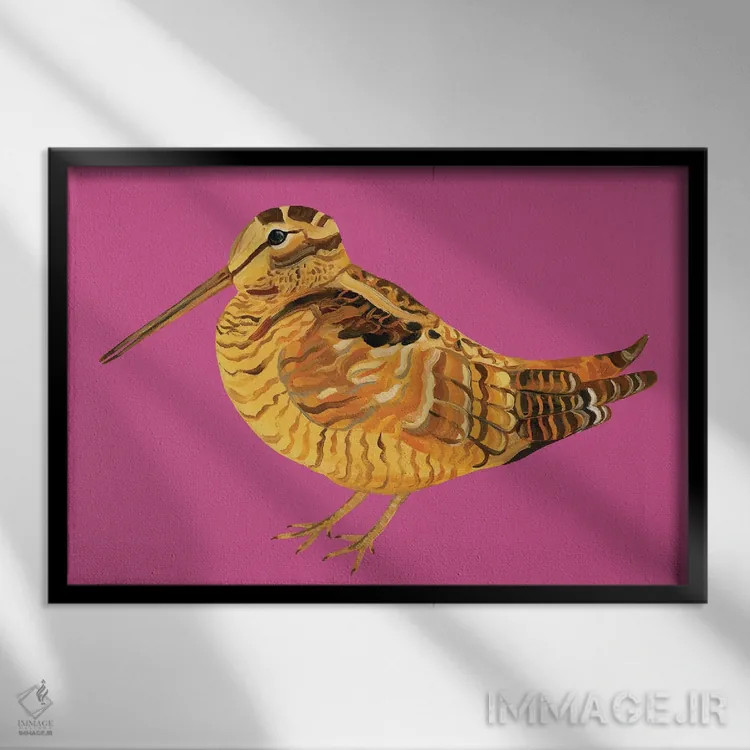 تابلو چکاوک صورتی شگفتانگیز اثر آلیس استراکر - نمای قابدار مشکی