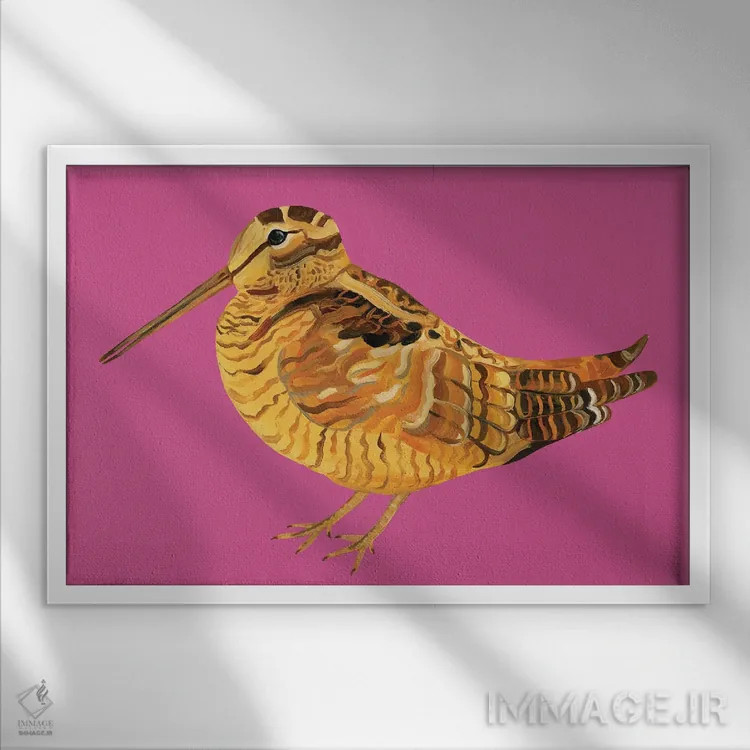 تابلو چکاوک صورتی شگفتانگیز اثر آلیس استراکر - نمای قابدار سفید