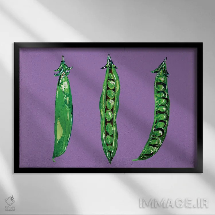 تابلو نخود در غلاف روی بنفش اثر آلیس استراکر - نمای قابدار مشکی