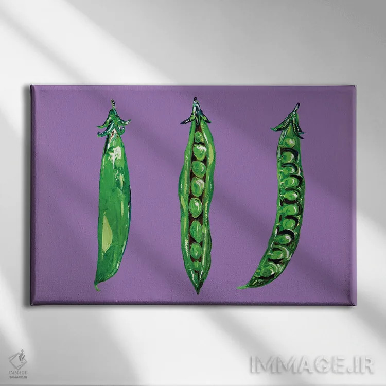 تابلو نخود در غلاف روی بنفش اثر آلیس استراکر - نمای روبهرو روی دیوار