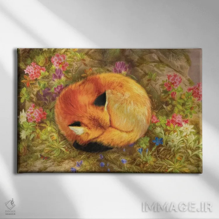 تابلو روباه دنج اثر ایمی استوارت - نمای روبهرو روی دیوار
