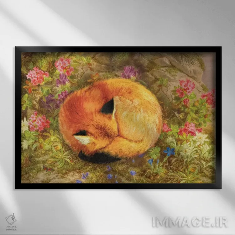 تابلو روباه دنج اثر ایمی استوارت - نمای قابدار مشکی