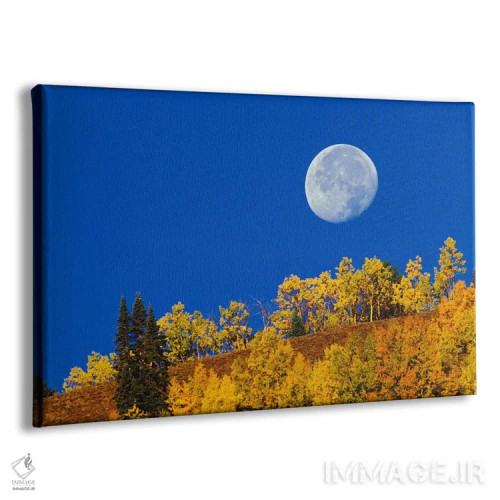 تابلو ماه پاییزی هنگام طلوع خورشید، جنگل ملی گانیسون، کلرادو، آمریکا اثر آدام جونز - نمای پرسپکتیو محصول