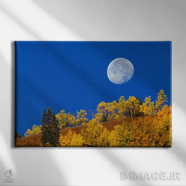 تابلو ماه پاییزی هنگام طلوع خورشید، جنگل ملی گانیسون، کلرادو، آمریکا اثر آدام جونز - نمای روبهرو روی دیوار