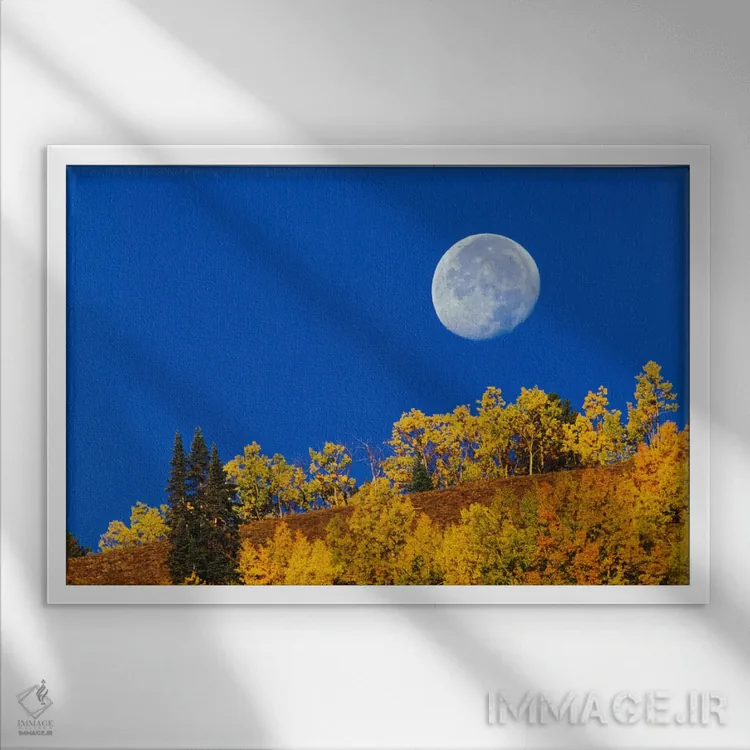 تابلو ماه پاییزی هنگام طلوع خورشید، جنگل ملی گانیسون، کلرادو، آمریکا اثر آدام جونز - نمای قابدار سفید