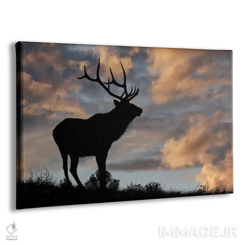 تابلو سیلوئت گوزن نر یا واپیتی هنگام طلوع روی خطالرأس، پارک ملی یلوستون، وایومینگ اثر آدام جونز - نمای پرسپکتیو محصول