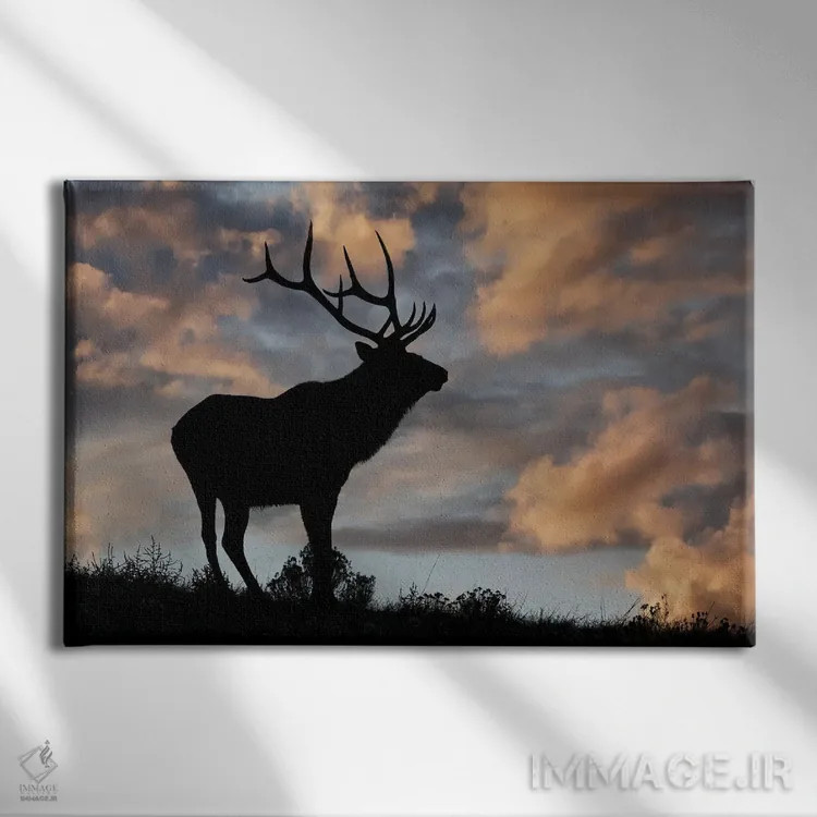تابلو سیلوئت گوزن نر یا واپیتی هنگام طلوع روی خطالرأس، پارک ملی یلوستون، وایومینگ اثر آدام جونز - نمای روبهرو روی دیوار