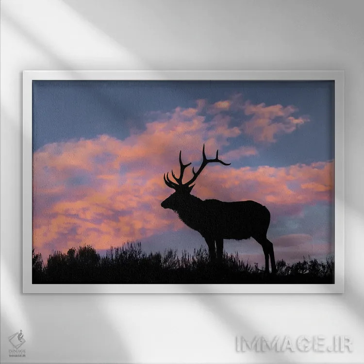 تابلو سیلوئت گوزن نر یا واپیتی روی قله خطالرأس، پارک ملی یلوستون، وایومینگ اثر آدام جونز - نمای قابدار سفید