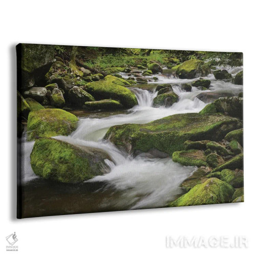 تابلو جویبار کوهستانی آبشاری، پارک ملی کوههای اسموکی بزرگ، تنسی، کارولینای شمالی اثر آدام جونز - نمای پرسپکتیو محصول