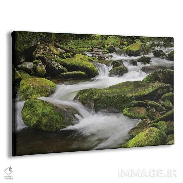 تابلو جویبار کوهستانی آبشاری، پارک ملی کوههای اسموکی بزرگ، تنسی، کارولینای شمالی اثر آدام جونز - نمای پرسپکتیو محصول