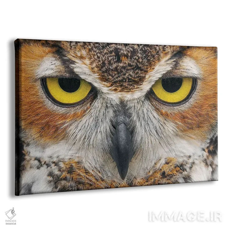 تابلو نمای نزدیک جغد بزرگ شاخدار اثر آدام جونز - نمای پرسپکتیو محصول