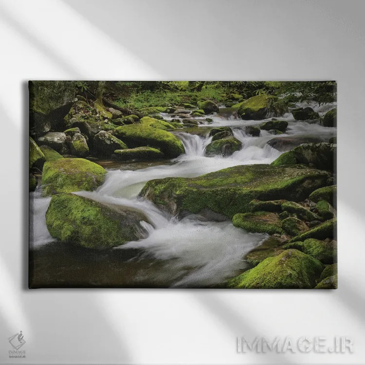 تابلو جویبار کوهستانی آبشاری، پارک ملی کوههای اسموکی بزرگ، تنسی، کارولینای شمالی اثر آدام جونز - نمای روبهرو روی دیوار