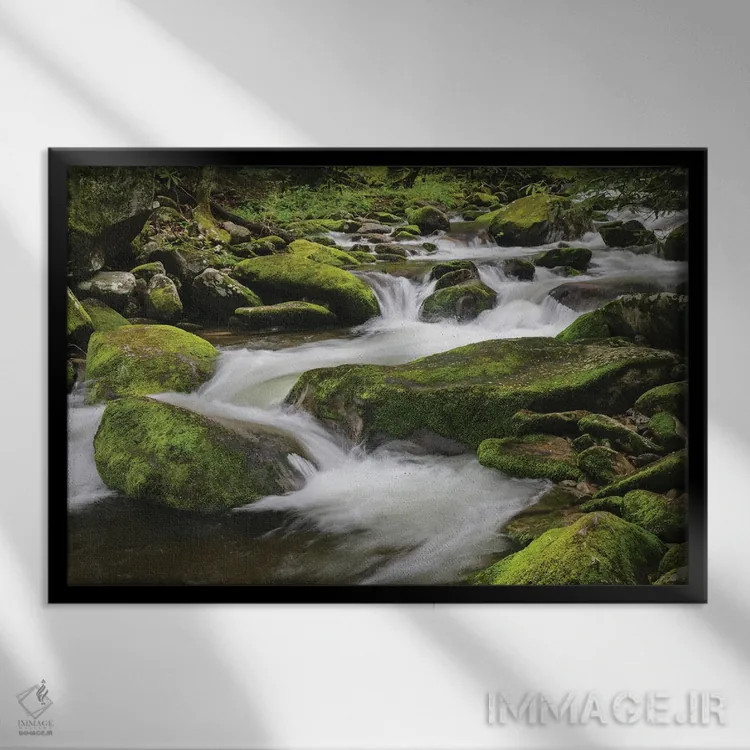 تابلو جویبار کوهستانی آبشاری، پارک ملی کوههای اسموکی بزرگ، تنسی، کارولینای شمالی اثر آدام جونز - نمای قابدار مشکی