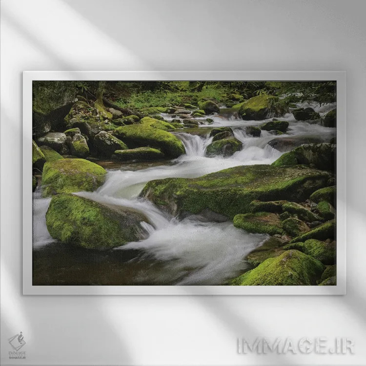 تابلو جویبار کوهستانی آبشاری، پارک ملی کوههای اسموکی بزرگ، تنسی، کارولینای شمالی اثر آدام جونز - نمای قابدار سفید