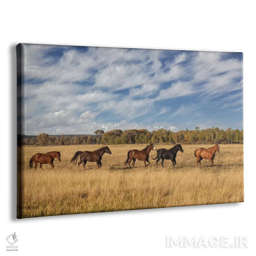 تابلو اسبها در فضای بیرونی، پارک ملی گرند تتون، وایومینگ اثر آدام جونز - نمای پرسپکتیو محصول