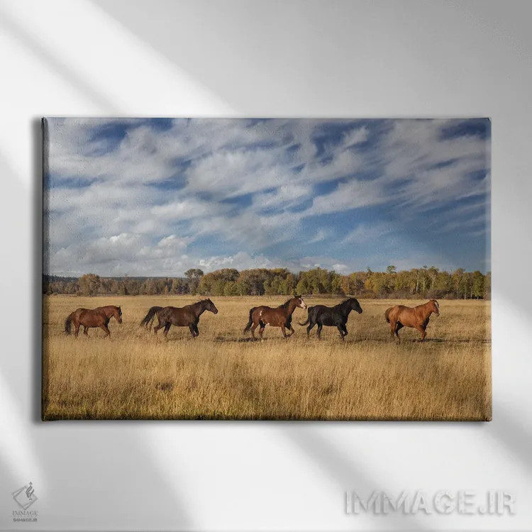 تابلو اسبها در فضای بیرونی، پارک ملی گرند تتون، وایومینگ اثر آدام جونز - نمای روبهرو روی دیوار