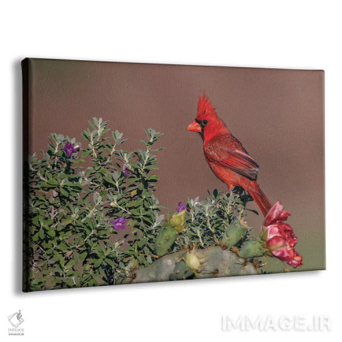 تابلو کارباورال شمالی، درهٔ ریو گرانده، تگزاس اثر آدام جونز - نمای پرسپکتیو محصول