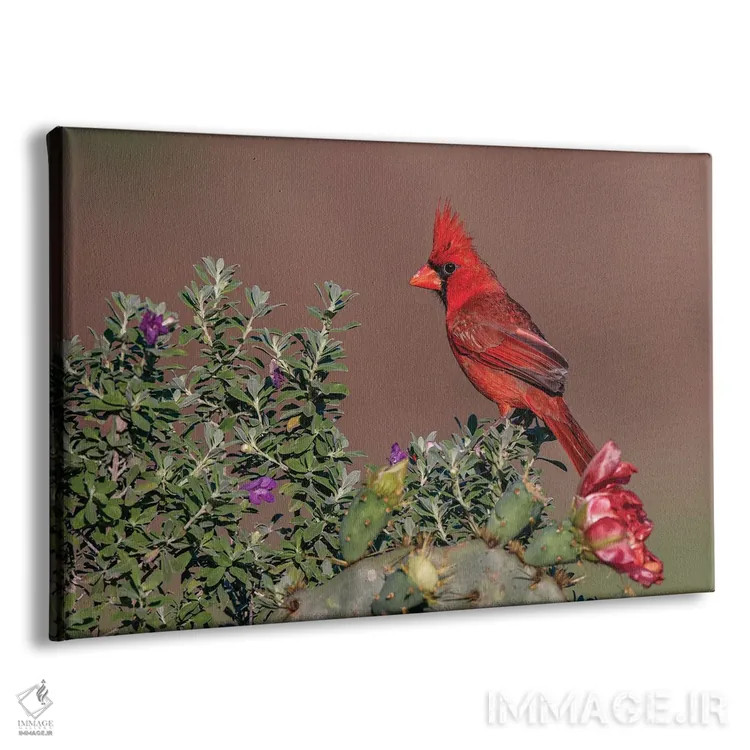 تابلو کارباورال شمالی، درهٔ ریو گرانده، تگزاس اثر آدام جونز - نمای پرسپکتیو محصول