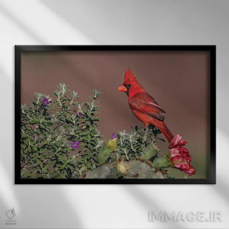 تابلو کارباورال شمالی، درهٔ ریو گرانده، تگزاس اثر آدام جونز - نمای قابدار مشکی