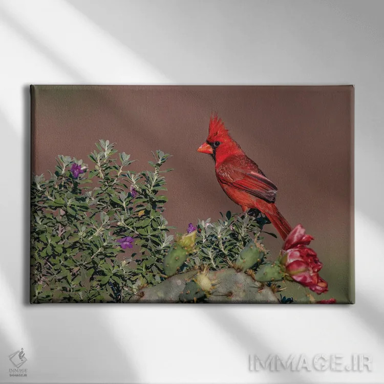 تابلو کارباورال شمالی، درهٔ ریو گرانده، تگزاس اثر آدام جونز - نمای روبهرو روی دیوار