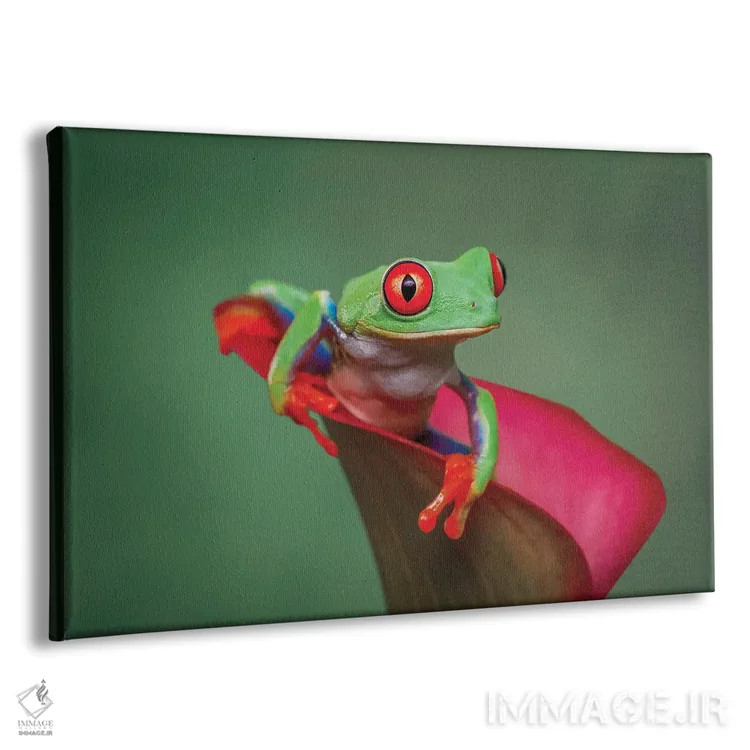 تابلو قورباغهٔ درختی چشمقرمز اثر آدام جونز - نمای پرسپکتیو محصول