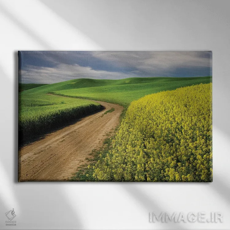 تابلو جاده کشاورزی روستایی میان مزارع کلزای زرد و گندم سبز، منطقهٔ پَلوس، شرق ایالت واشنگتن اثر آدام جونز - نمای روبهرو روی دیوار
