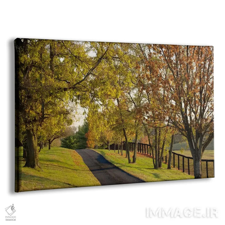 تابلو منظرهٔ پاییزی روستایی (۱)، منطقهٔ بلُوگرس، کنتاکی، آمریکا اثر آدام جونز - نمای پرسپکتیو محصول