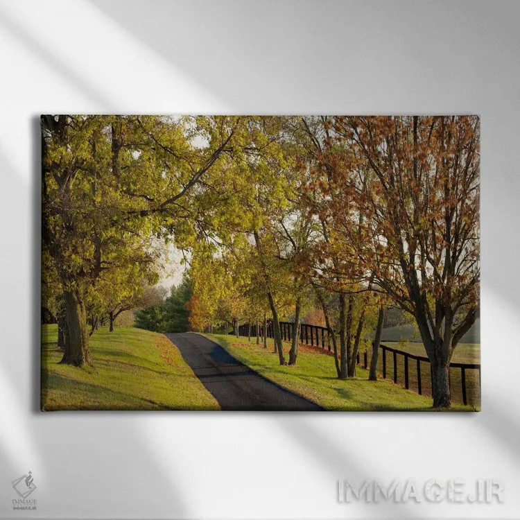 تابلو منظرهٔ پاییزی روستایی (۱)، منطقهٔ بلُوگرس، کنتاکی، آمریکا اثر آدام جونز - نمای روبهرو روی دیوار