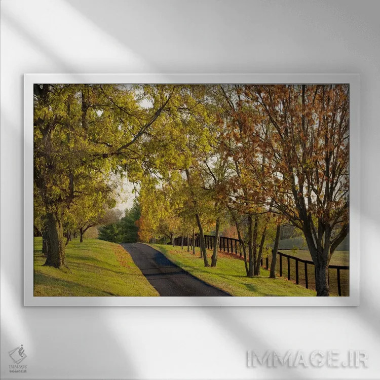 تابلو منظرهٔ پاییزی روستایی (۱)، منطقهٔ بلُوگرس، کنتاکی، آمریکا اثر آدام جونز - نمای قابدار سفید